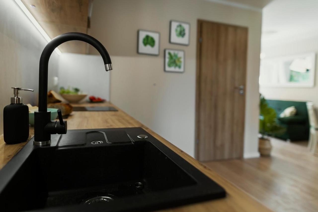 דוז'ניקי ז'דרוז' Apartamenty Willove Wzgorze מראה חיצוני תמונה
