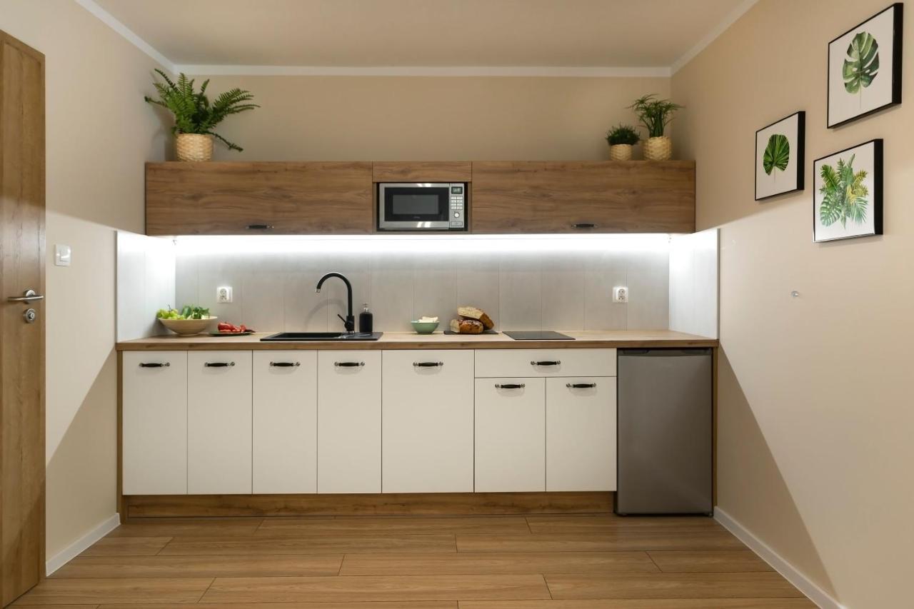 דוז'ניקי ז'דרוז' Apartamenty Willove Wzgorze מראה חיצוני תמונה