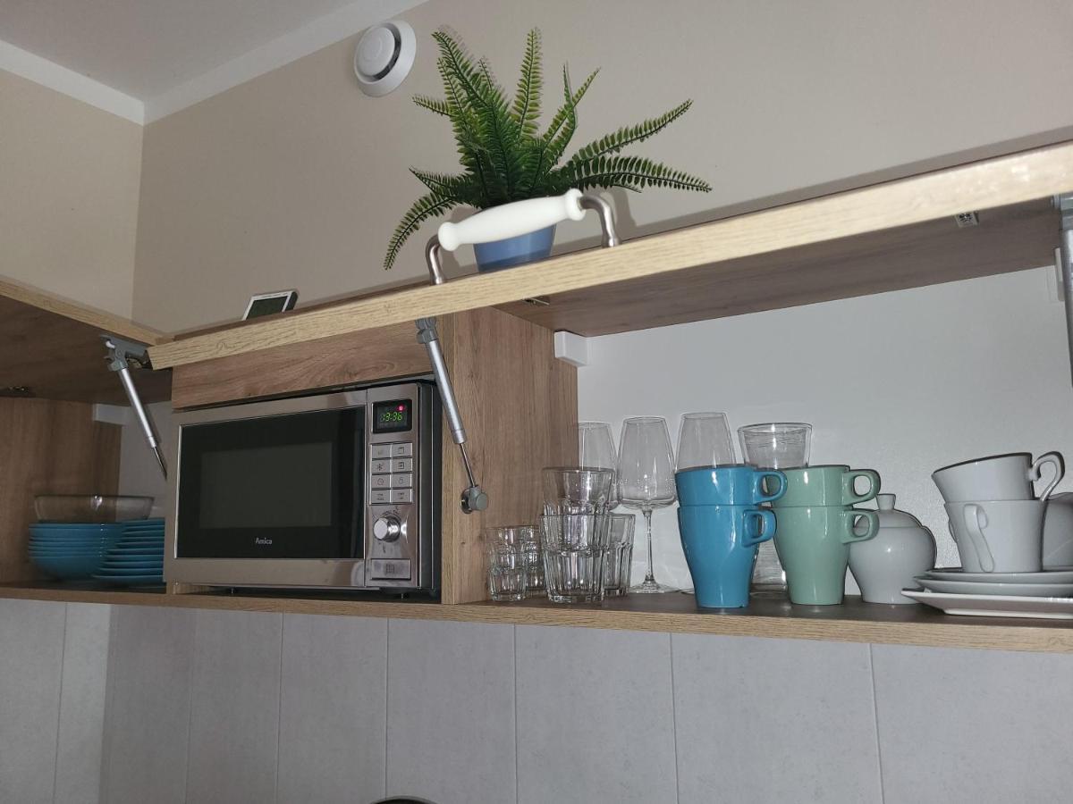 דוז'ניקי ז'דרוז' Apartamenty Willove Wzgorze מראה חיצוני תמונה