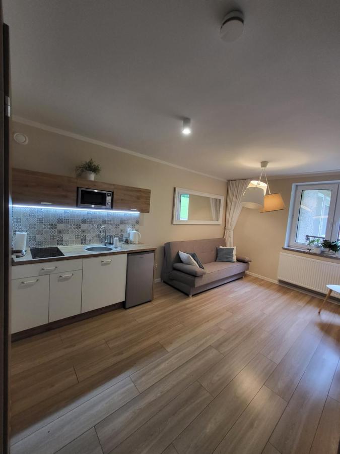 דוז'ניקי ז'דרוז' Apartamenty Willove Wzgorze מראה חיצוני תמונה