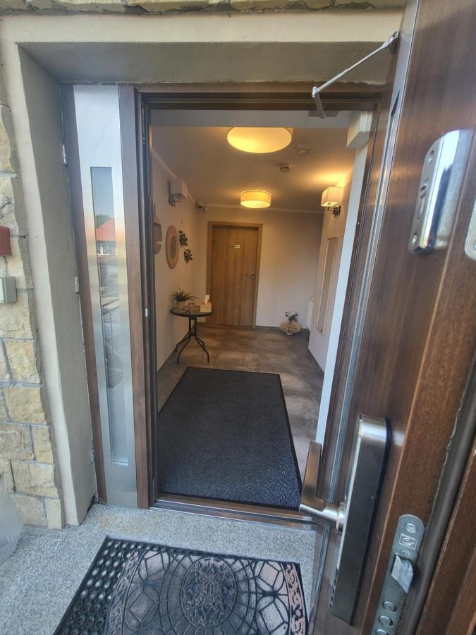 דוז'ניקי ז'דרוז' Apartamenty Willove Wzgorze מראה חיצוני תמונה